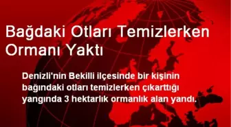 Bağdaki Otları Temizlerken Ormanı Yaktı