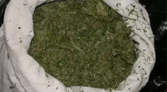 Gaziantep'te 18 Kilogram Esrar Ele Geçirildi