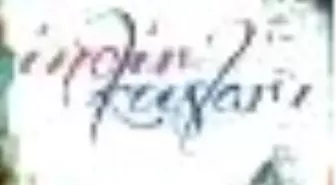 İncir Kuşları Kitabı