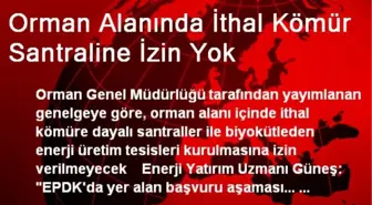 Orman Alanında İthal Kömür Santraline İzin Yok