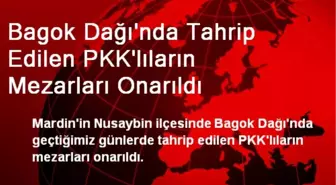 Bagok Dağı'nda Tahrip Edilen PKK'lıların Mezarları Onarıldı