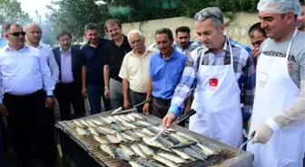 En Çok Balığı Tuttu, Tekneyi Kaptı