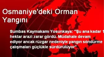 Osmaniye'deki Orman Yangını