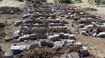 Tahrip Edilen PKK Mezarlığı İçin Suç Duyurusu