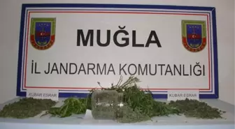 Esrar Satan Terzi Gözaltına Alındı
