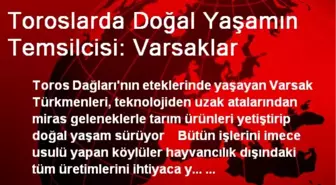 Toroslarda Doğal Yaşamın Temsilcisi: Varsaklar