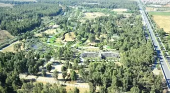 İslam Ülkeleri, İzmir'in Parkını Beğendi