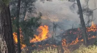 Kazdağları'nda Orman Yangını