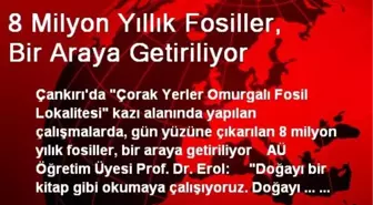 8 Milyon Yıllık Fosiller, Bir Araya Getiriliyor