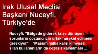 Irak Ulusal Meclisi Başkanı Nuceyfi, Türkiye'de