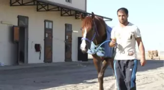 Türkiye'nin en büyük hipodromunda at yarışı heyecanı başlıyor DİYARBAKIR