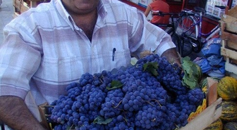3 Bin Yıllık Erciş Üzümü Koruma Altına Alındı