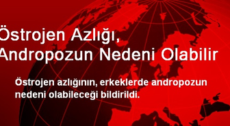 Östrojen Azlığı, Andropozun Nedeni Olabilir