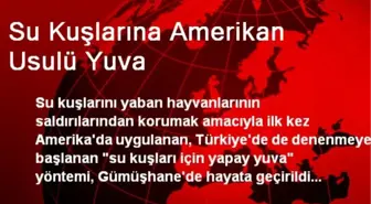 Su Kuşlarına Amerikan Usulü Yuva