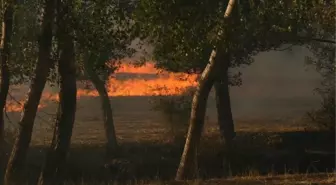 Yozgat'ta Anız Yangını Fidanlık Alanlara Sıçradı