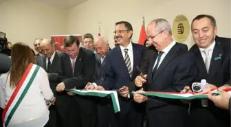 Kardeşlik Gelişiyor