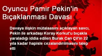 Oyuncu Pamir Pekin'in Bıçaklanması Davası