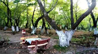 Sarıgöl'den Manisa Belediyesi'ne Teşekkür