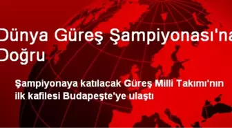 Dünya Güreş Şampiyonası'na Doğru