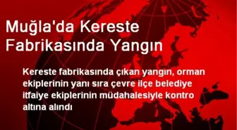 Muğla'da Kereste Fabrikasında Yangın