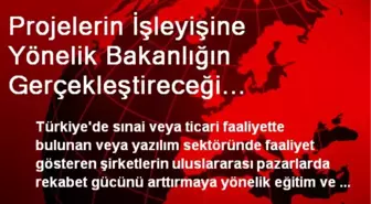 Projelerin İşleyişine Yönelik Bakanlığın Gerçekleştireceği Faaliyetlerin Giderlerine 250 Bin Dolara...