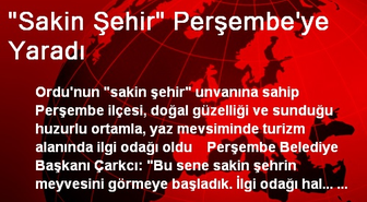 'Sakin Şehir' Perşembe'ye Yaradı