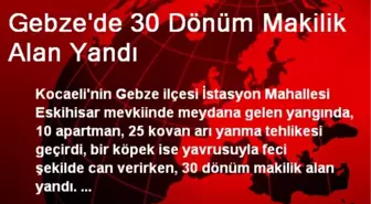 Gebze'de 30 Dönüm Makilik Alan Yandı