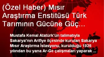 (Özel Haber) Mısır Araştırma Enstitüsü Türk Tarımının Gücüne Güç Katıyor