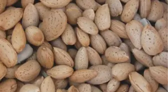 Adıyaman'dan Kısa Kısa