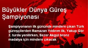 Büyükler Dünya Güreş Şampiyonası