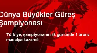 Dünya Büyükler Güreş Şampiyonası