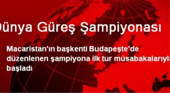 Dünya Güreş Şampiyonası