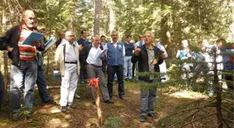 Kastamonu'da Seçme Tatbikatı