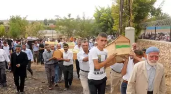 Dargeçit'te Kayıp Kişiler İçin Başlatılan Kazı Çalışmaları