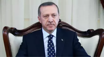 Erdoğan Tuomioja görüşmesi ANKARA