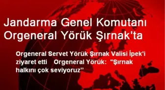 Jandarma Genel Komutanı Orgeneral Yörük Şırnak'ta