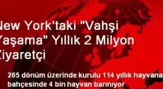 New York'taki 'Vahşi Yaşama' Yıllık 2 Milyon Ziyaretçi