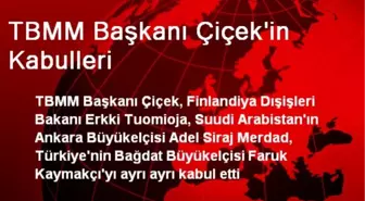 TBMM Başkanı Çiçek'in Kabulleri