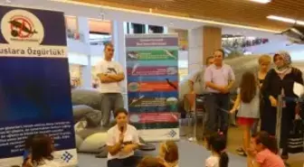 Türkiye Denizlerindeki Dev Deniz Canlıları İstanbul ve Eskişehir'de