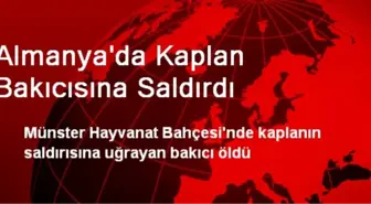 Almanya'da Kaplan Bakıcısına Saldırdı