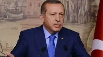 Başbakan Erdoğan, Tuomioja'nı Kabul Etti