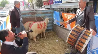 Başbakan İçin Kesilecek Koçlar Hazır