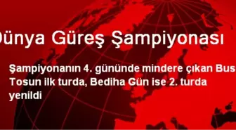 Dünya Güreş Şampiyonası