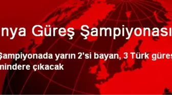 Dünya Güreş Şampiyonası