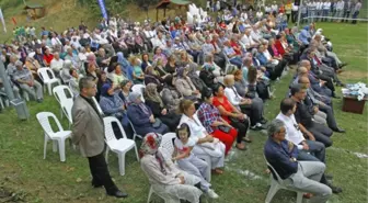 Gölcük'e 30 Bin Metrekarelik Mesire Alanı