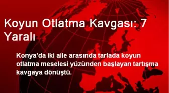 Koyun Otlatma Kavgası: 7 Yaralı