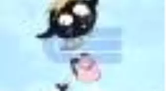 Küçük Kara Balık Kitabı Çıktı