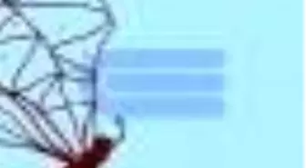 Ölüm Bir Skandal Kitabı