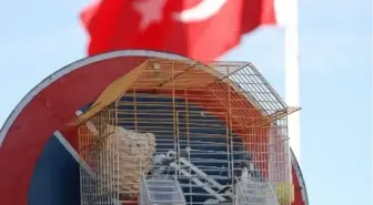 Park Yasağı Levhasında Kuş Kafesi