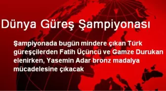 Dünya Güreş Şampiyonası